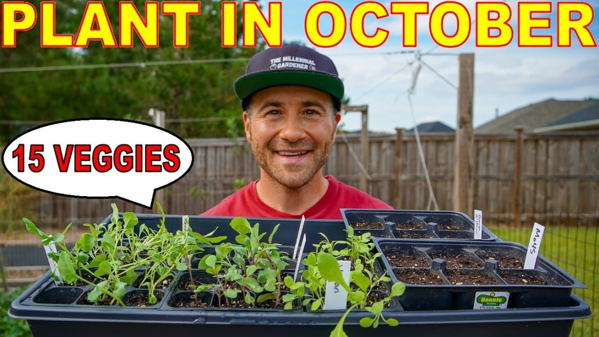 15 Veggies You Can STILL Plant In October For A Beautiful Fall Garden