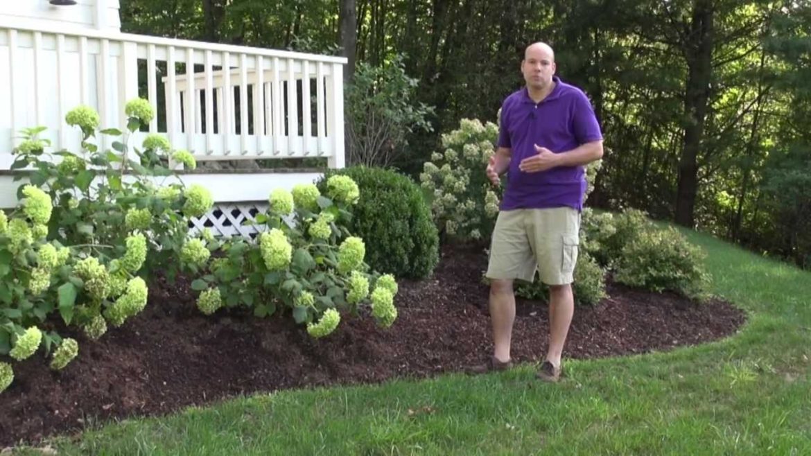 Front Yard Landscape Design Ideas – Trumbull CT Landscape Designer Front Yard Landscape Design Ideas - Trumbull CT Landscape Designer