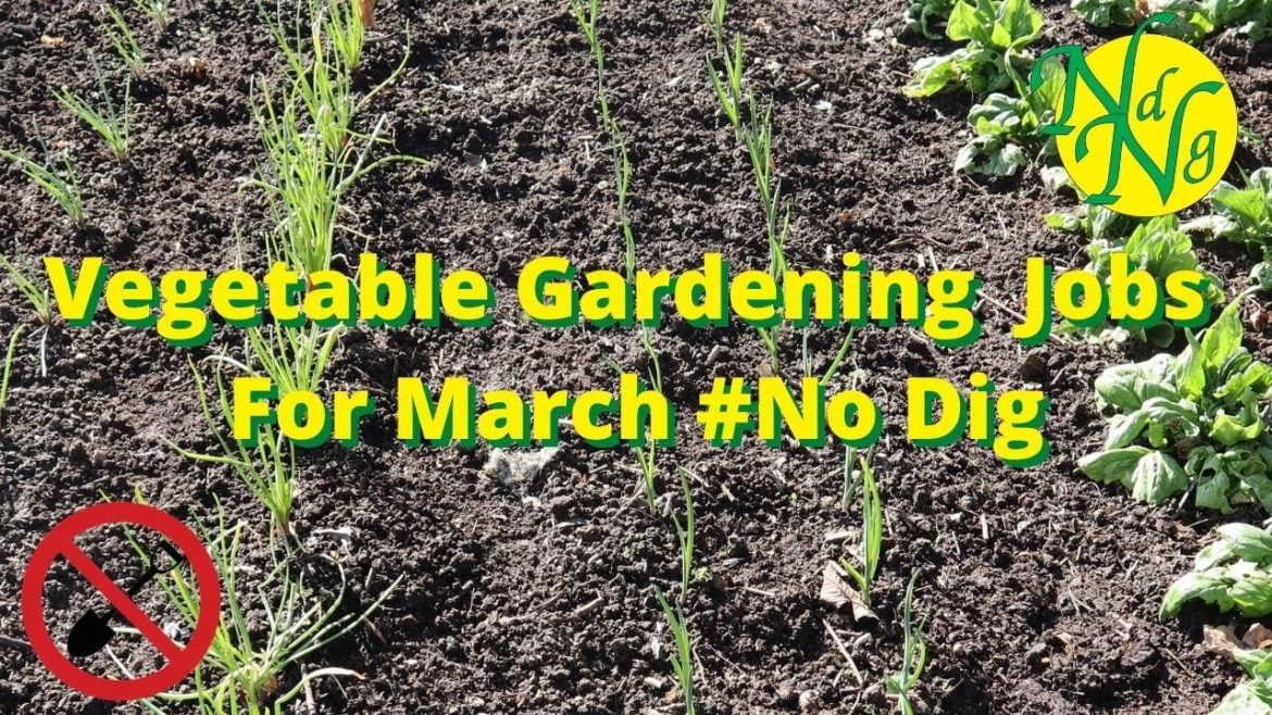 Vegetable Gardening Jobs For March #No Dig