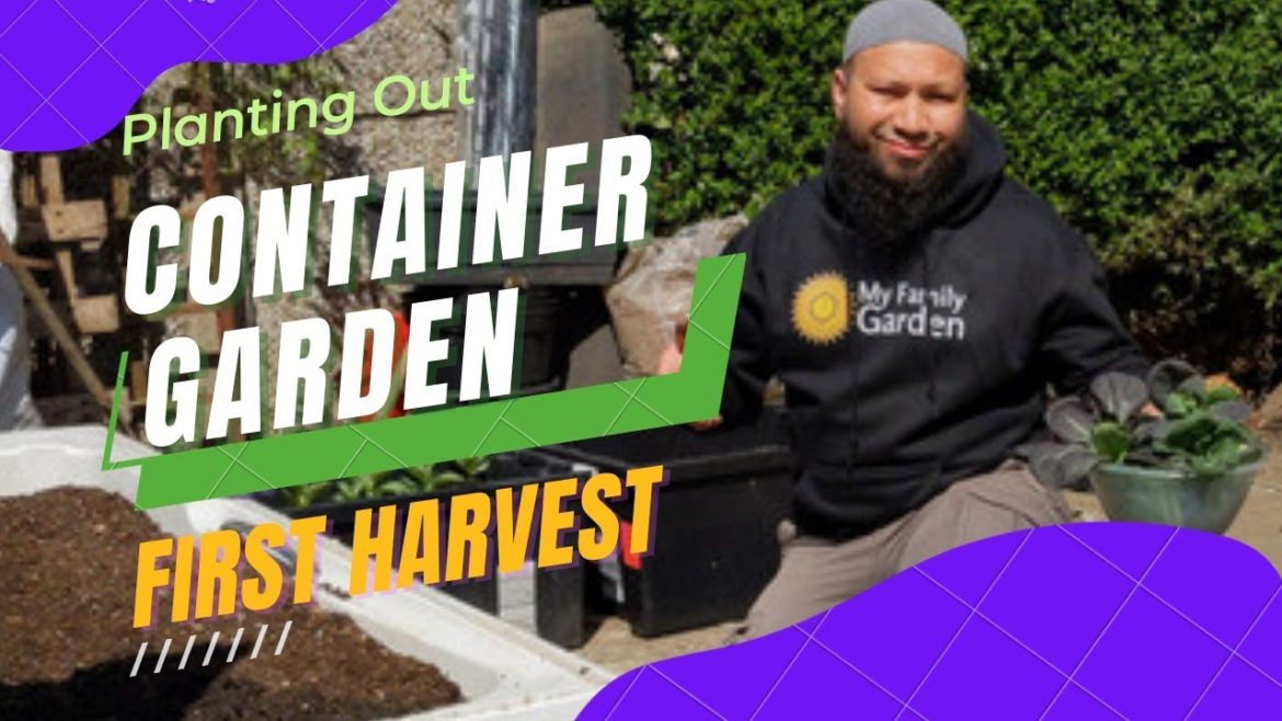 Container Vegetable Gardening For Beginners - Patio Vegetable Garden