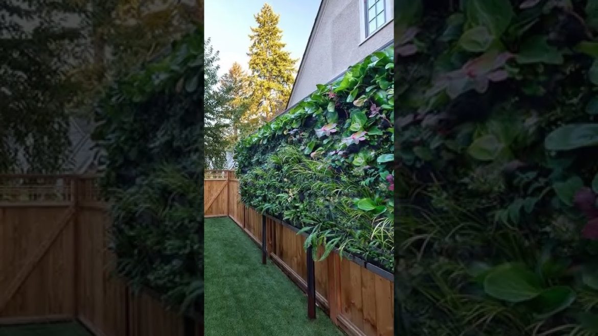 Garden Design For Small Yards #shorts