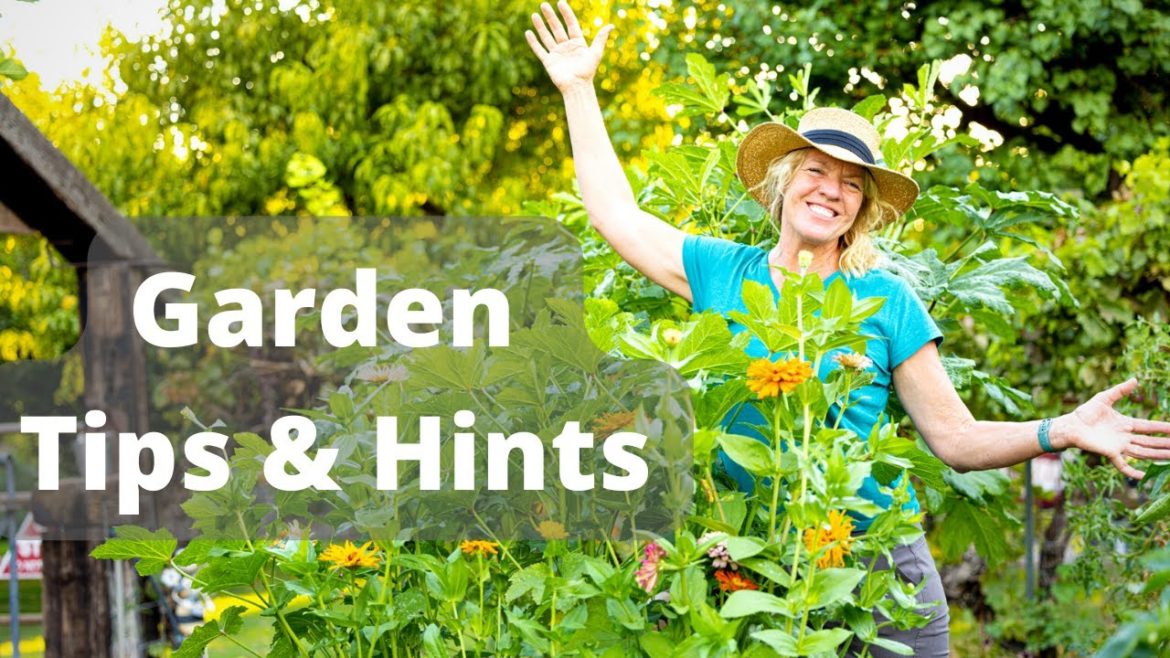 September Garden Tour & Gardening Tips September Garden Tour & Gardening Tips