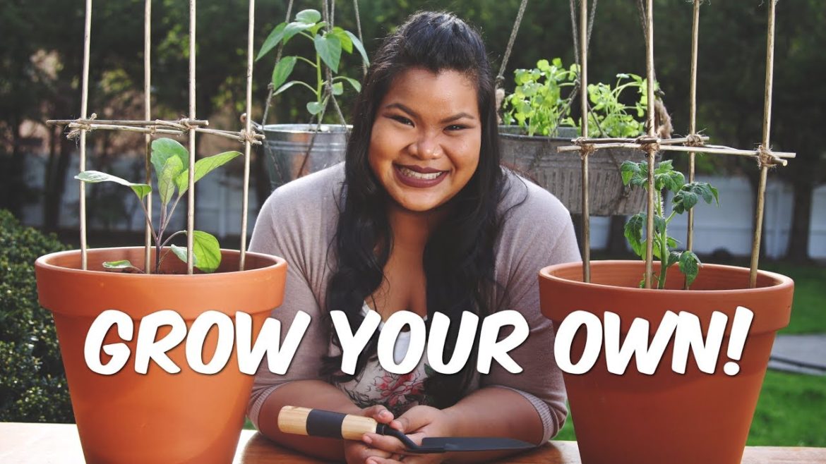 DIY Vegetable Container Garden