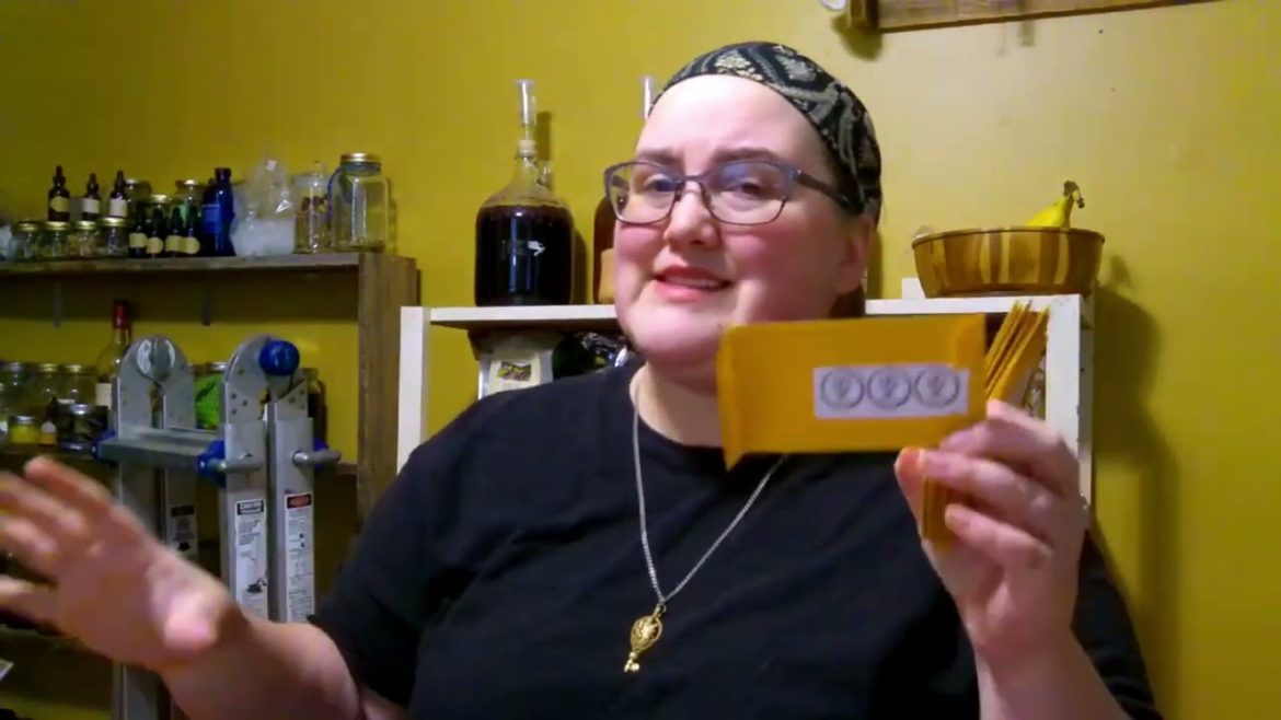 Lets Chat Spring Seeds and My Garden Plans