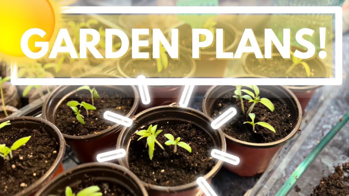 Minimalist Living! Garden with Me, Hobby Clutter, Garden Ideas, Plans, Supplies, and Seedlings! Minimalist Living! Garden with Me, Hobby Clutter, Garden Ideas, Plans, Supplies, and Seedlings!
