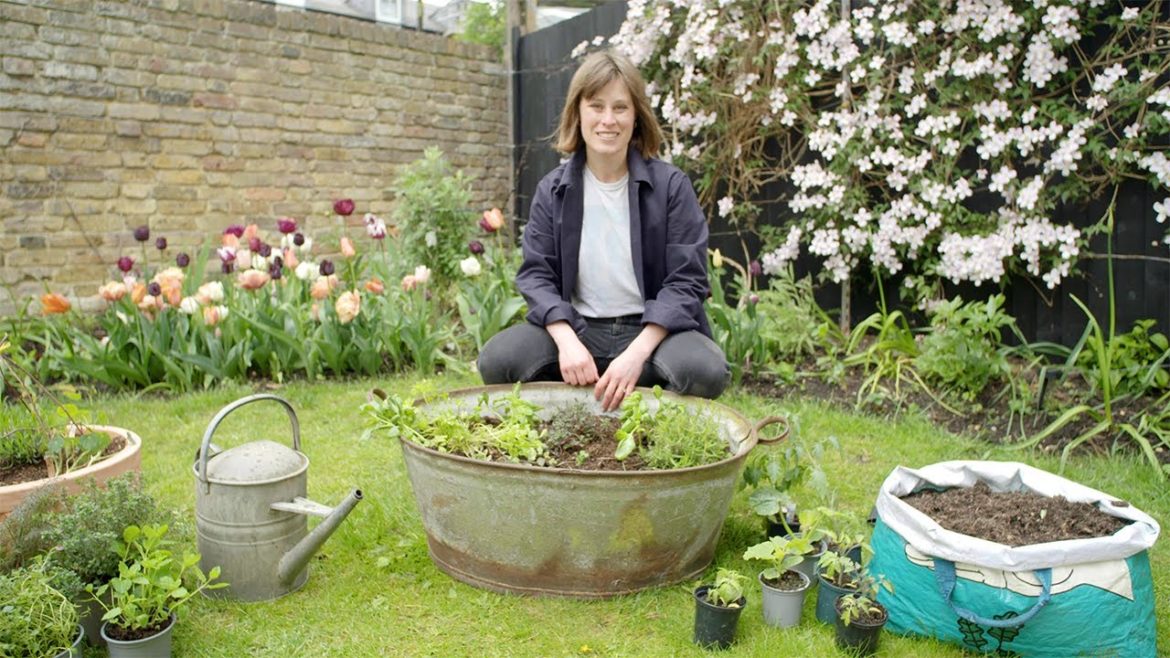 How to grow vegetables and herbs in small spaces: Telegraph Gardening Tips How to grow vegetables and herbs in small spaces: Telegraph Gardening Tips