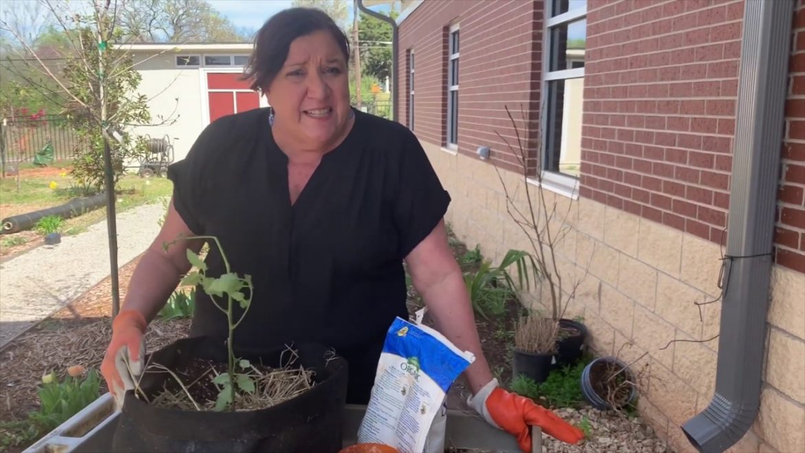Container Gardening with Vegetables