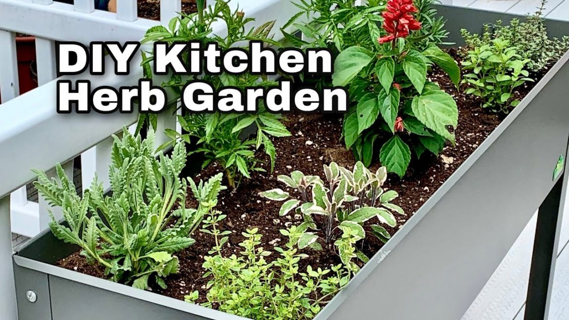 How to Plant a Kitchen Herb Garden for Beginners - Container Gardening