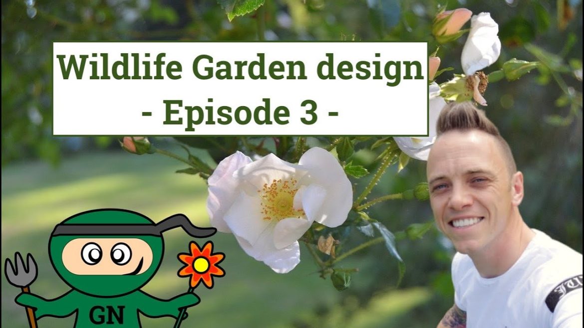 Wildlife Garden Design Guide – Episode 3 – Shrubs & Plants to encourage wildlife to your garden Wildlife Garden Design Guide - Episode 3 - Shrubs & Plants to encourage wildlife to your garden