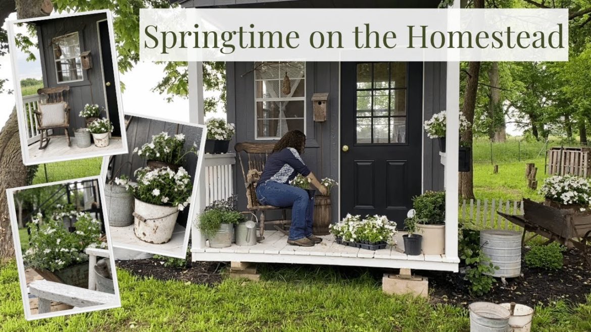 Springtime on the Homestead - Planting Spring Containers, Vegetable Gardening and Beekeeping