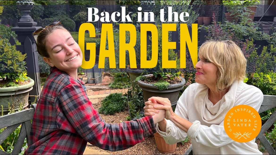 Back In the Garden With Help From My Friends