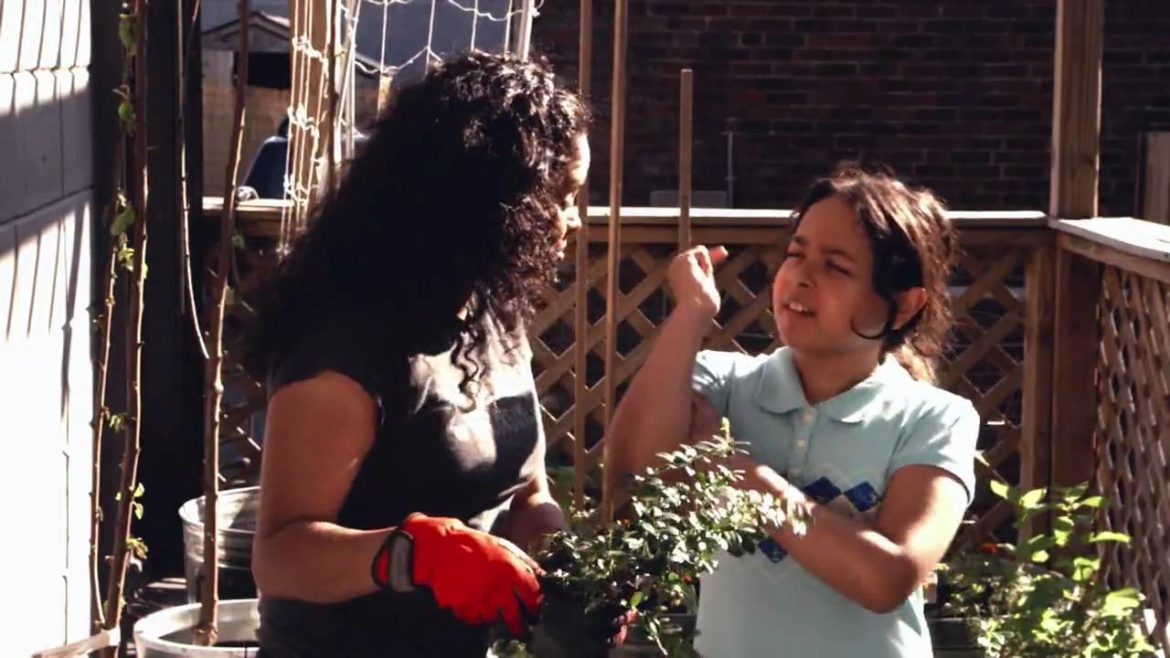 Container Gardening: Lingonberry