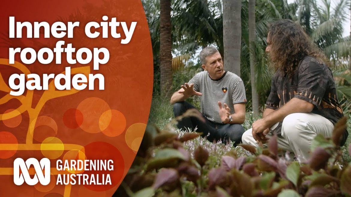 A nature driven inner city terrace renovation | Garden Design and Inspiration | Gardening Australia A nature driven inner city terrace renovation | Garden Design and Inspiration | Gardening Australia