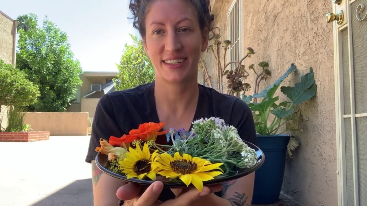 Kids Gardening with Liz Episode 17: Edible Flowers