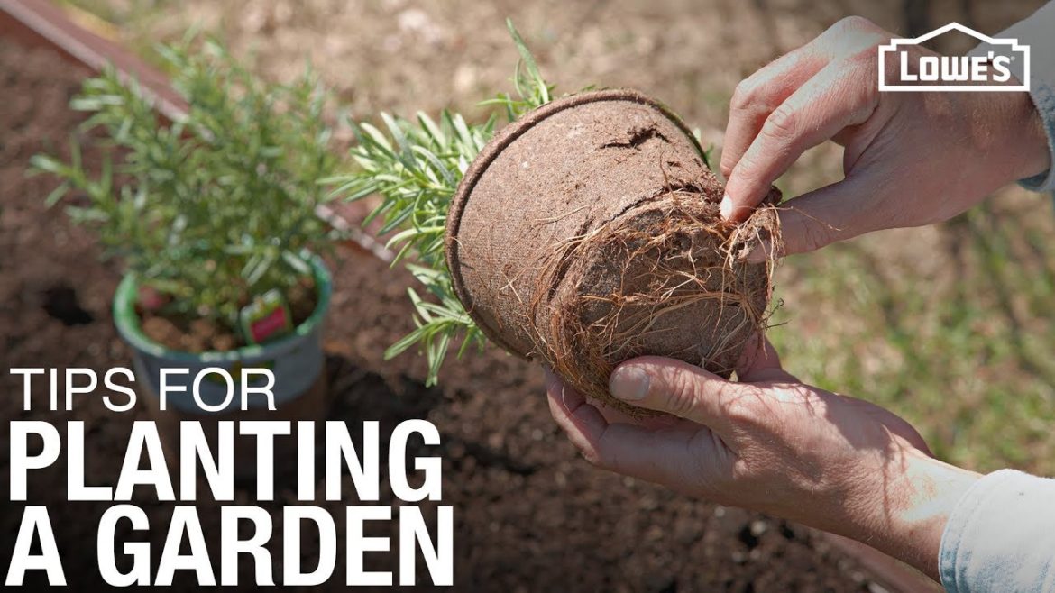 Tips and Tricks for How To Plant a Garden | Gardening Basics Tips and Tricks for How To Plant a Garden | Gardening Basics