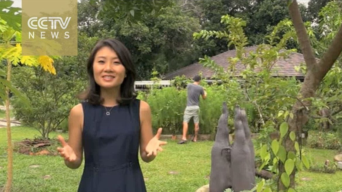 Singapore: From garden city to edible garden city