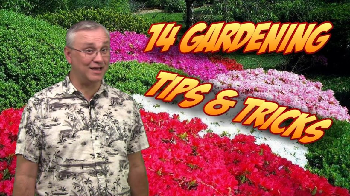 14 Gardening Tips, Tricks, & Ideas