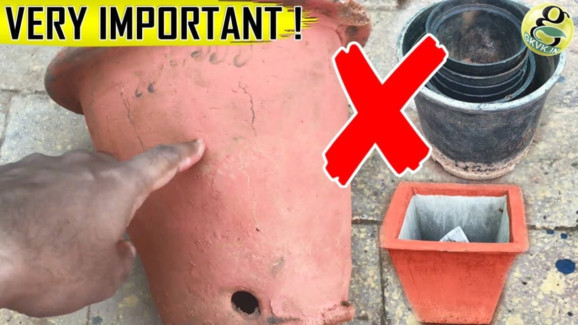 Container Choice in Gardening | Useful Pot Selection Tips and Gardening Ideas Container Choice in Gardening | Useful Pot Selection Tips and Gardening Ideas