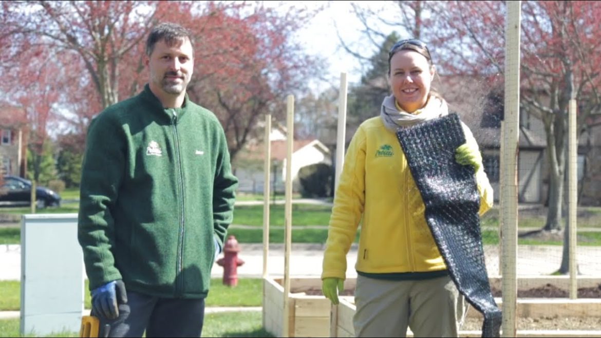 PETITTI Vegetable Gardening in Raised Beds | Part 4: Protecting from Deer & Animals PETITTI Vegetable Gardening in Raised Beds | Part 4: Protecting from Deer & Animals