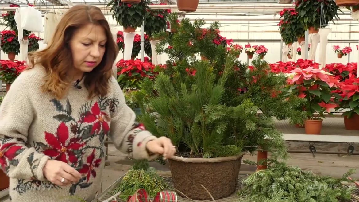 DIY Winter Container Garden