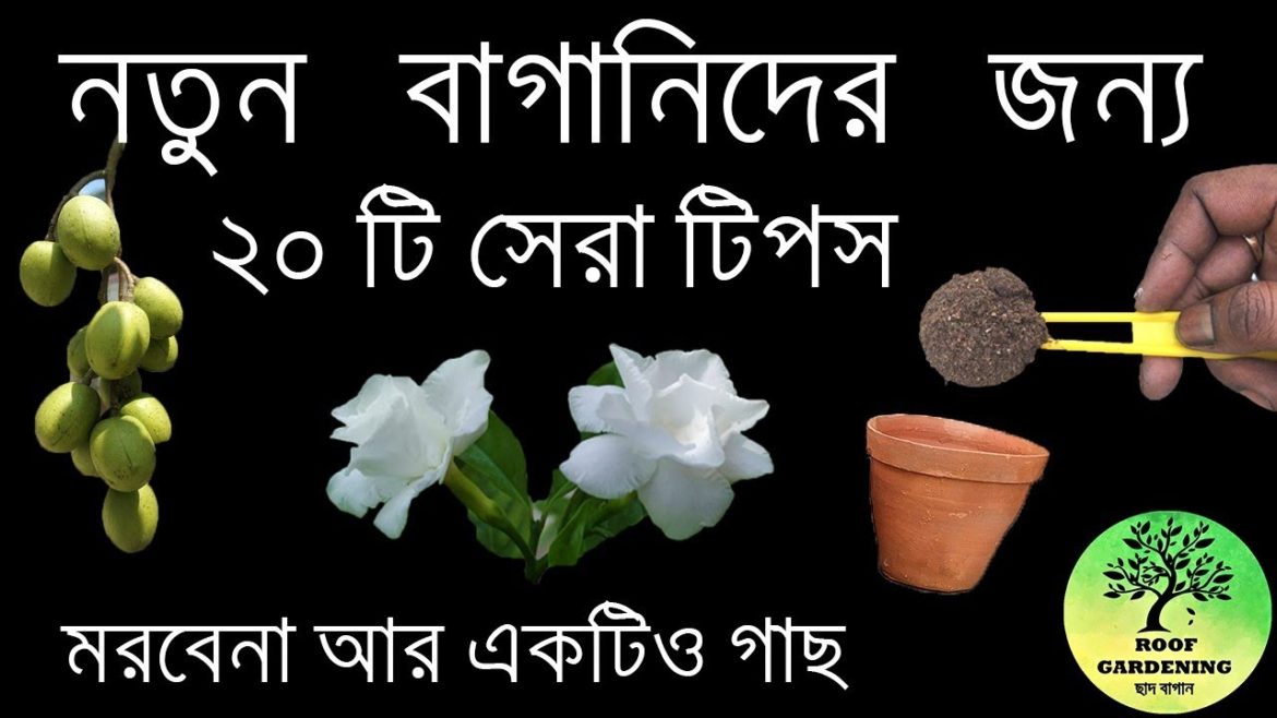 নতুন বাগানিদের জন্য ২০ টি সেরা টিপস / Gardening Tips For Beginners নতুন বাগানিদের জন্য ২০ টি সেরা টিপস / Gardening Tips For Beginners