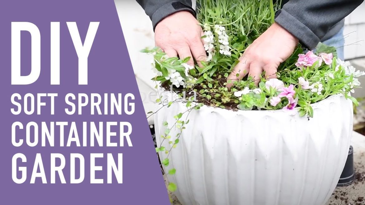 Soft Spring Container Garden Idea for your Doorway 🏠🌸 || West Coast Gardens Soft Spring Container Garden Idea for your Doorway 🏠🌸 || West Coast Gardens