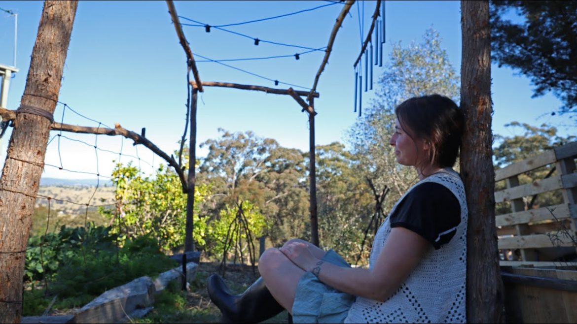 My Garden Plans For THE FIRST SPRING ON THE AUSSIE HOMESTEAD + Starting Spring Seeds!!!