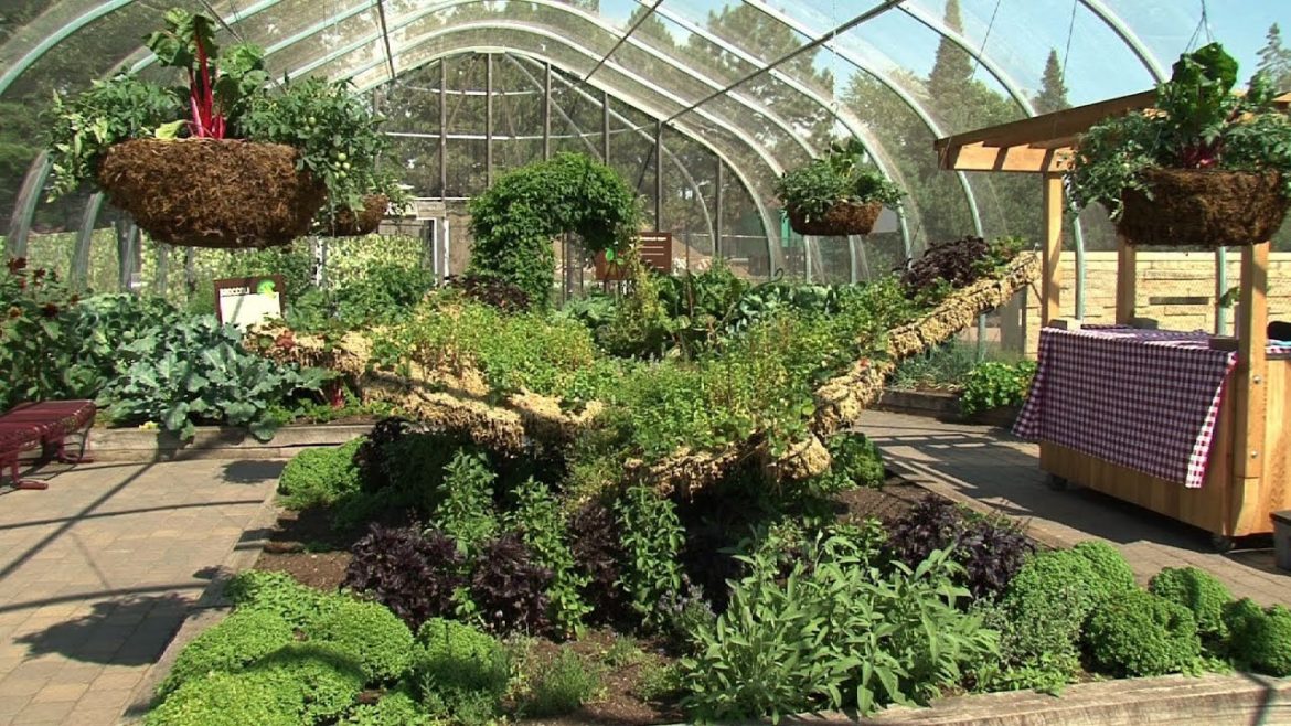 Chipotle Edible Gardens at Como Park Zoo and Conservatory