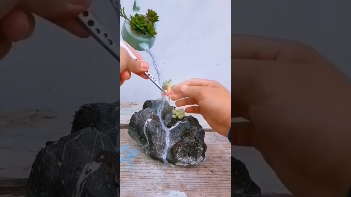 what do you think about this gardening idea 🌿#shorts #gardenlife #viralshorts what do you think about this gardening idea 🌿#shorts #gardenlife #viralshorts