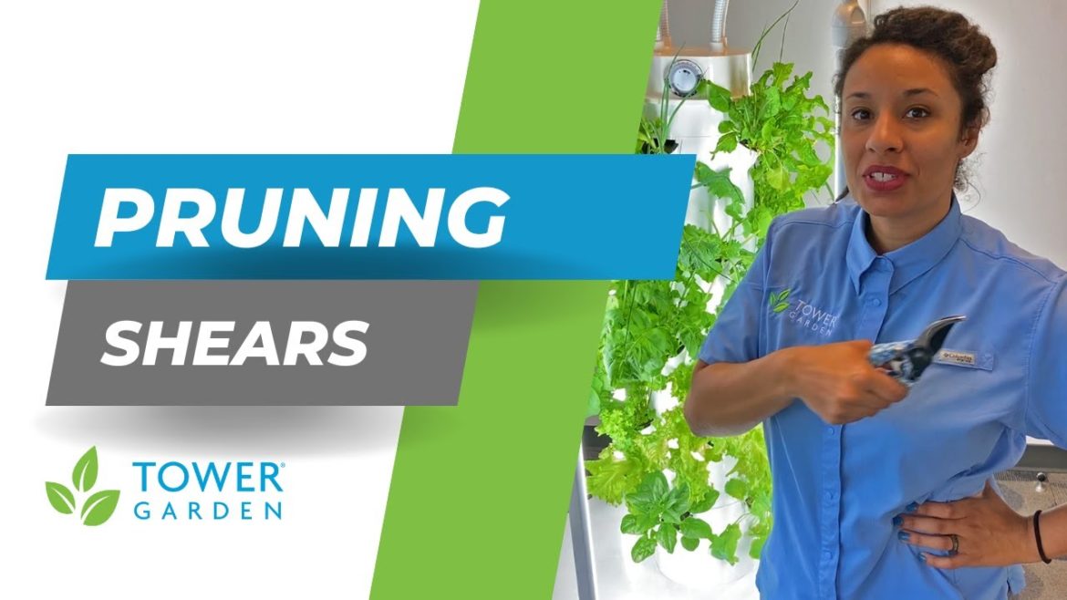 Tower Garden Handy Tools: Pruning Shears with Katie Harvey