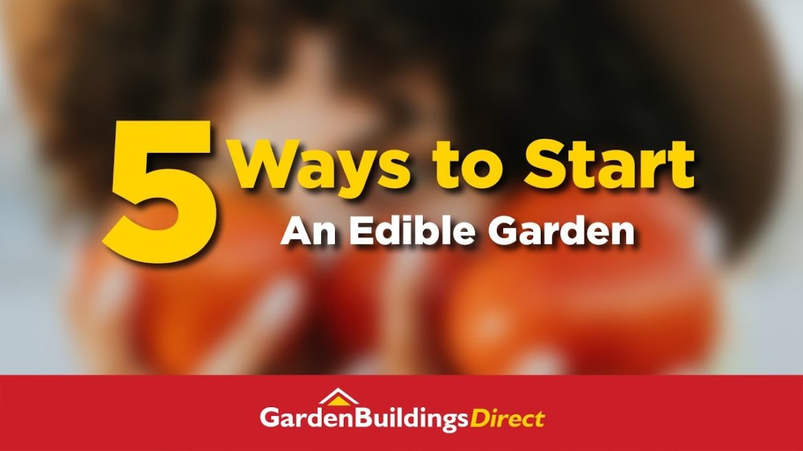 5 Ways to Start An Edible Garden – Sustainable Fruit & Vegetable Gardening Tips For Beginners 5 Ways to Start An Edible Garden - Sustainable Fruit & Vegetable Gardening Tips For Beginners