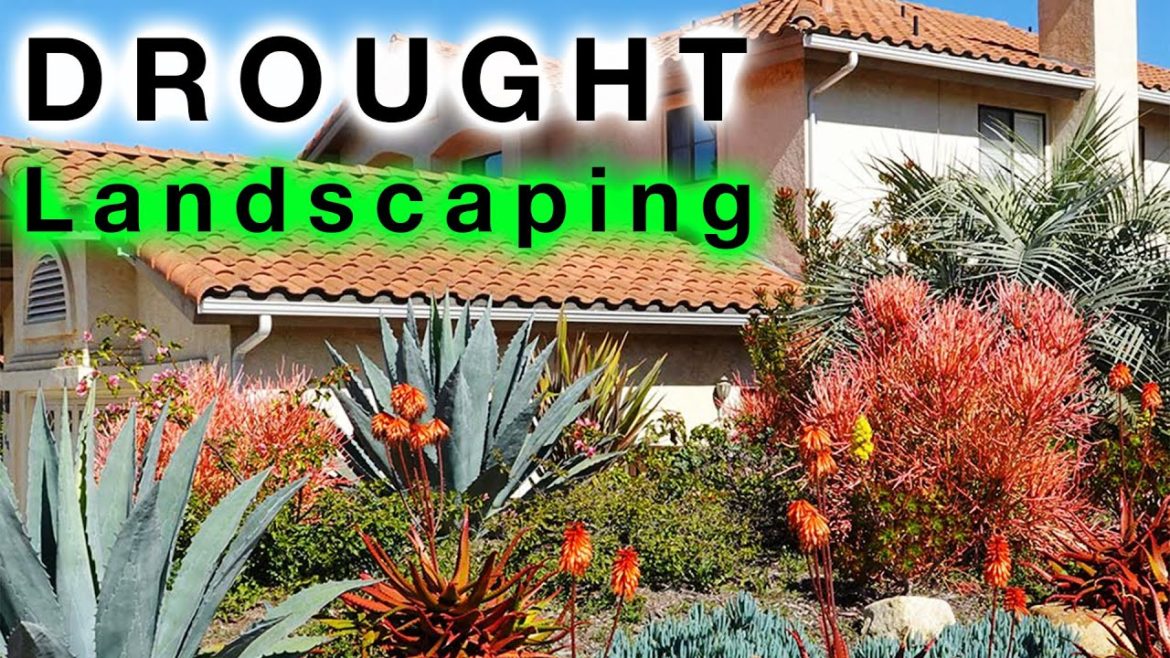 Drought TOLERANT Landscape Design Drought TOLERANT Landscape Design