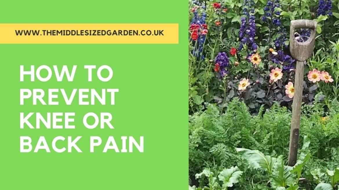 Pain free gardening! Tips on preventing back and knee pain from gardening