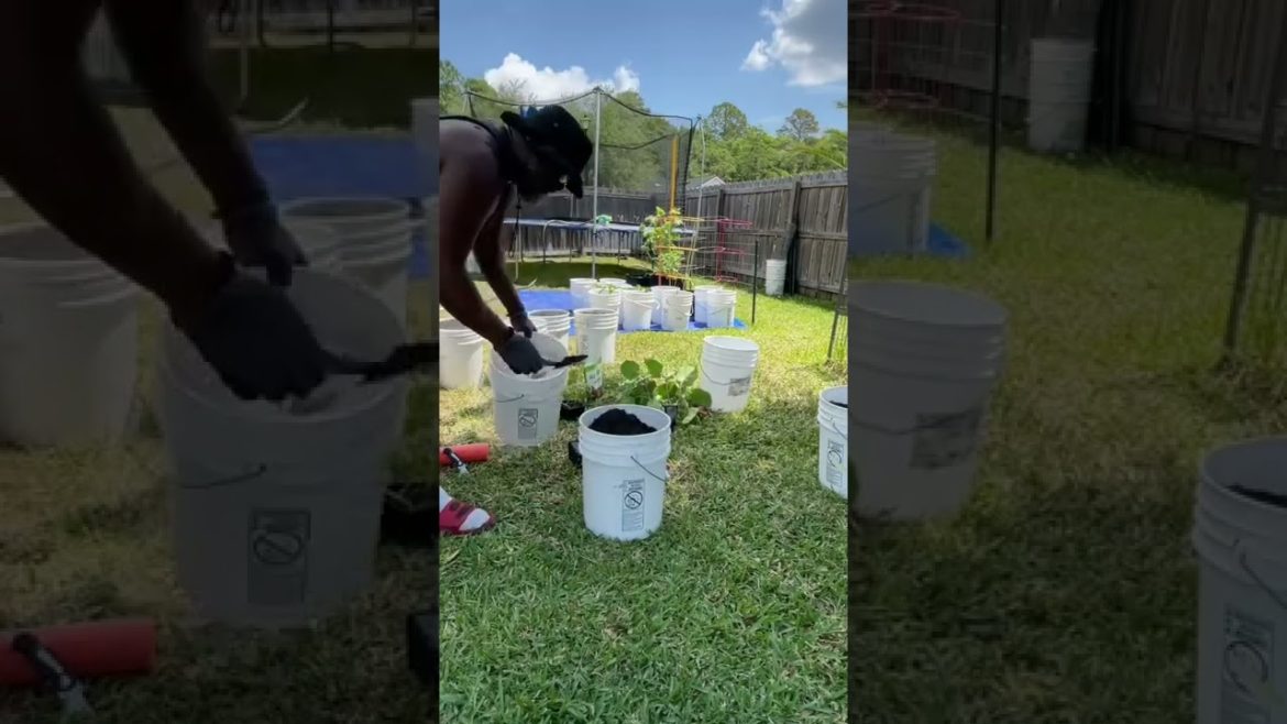 Container Gardening with Pool Noodles. Container Gardening with Pool Noodles.