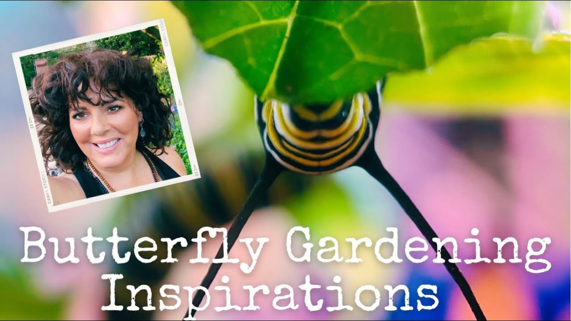 Spring Prep Time, MILKWEED Supply for Monarch Caterpillars | Butterfly Gardening Inspirations Spring Prep Time, MILKWEED Supply for Monarch Caterpillars | Butterfly Gardening Inspirations