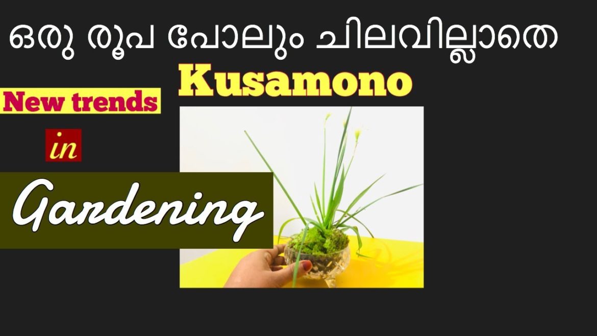 How to make Kusamono | ഒരു ചിലവുമില്ലാതെ കുസമോണോ ഉണ്ടാക്കാം | New trends in gardening.