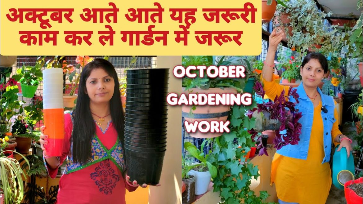 October Gardening Works // Do These Gardening Works in October // Priya Gardenhub // Gardening Tips October Gardening Works // Do These Gardening Works in October // Priya Gardenhub // Gardening Tips