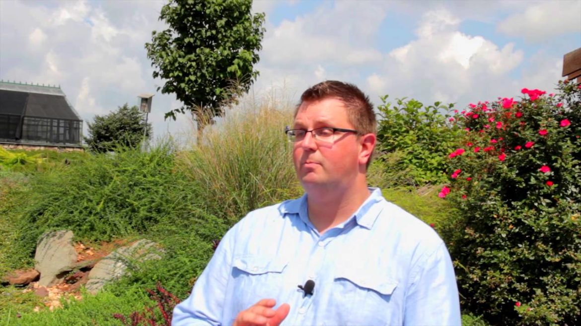 How to Design a Backyard & Hill : Designed Landscapes