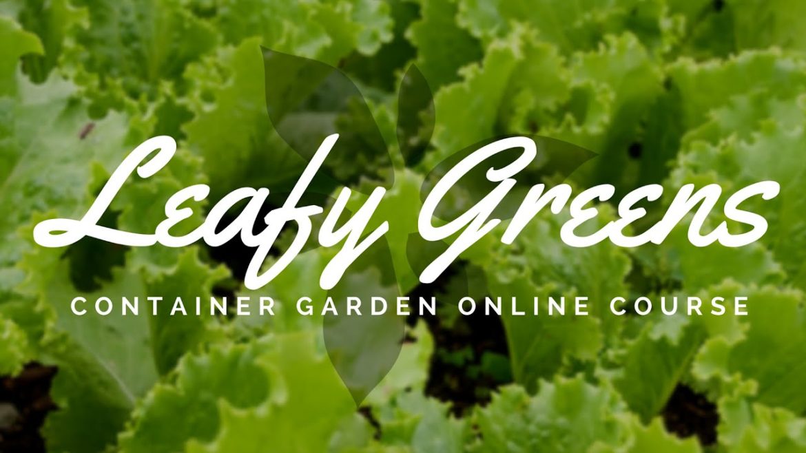 Leafy Greens Container Garden Course