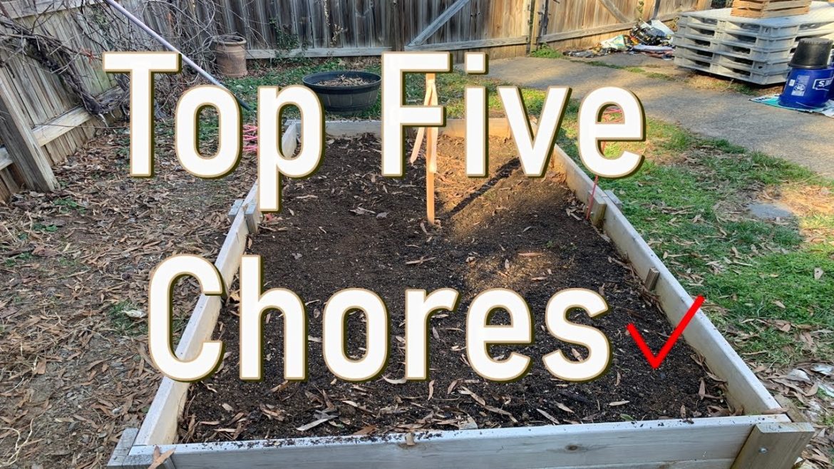 March Garden Tips March Garden Tips