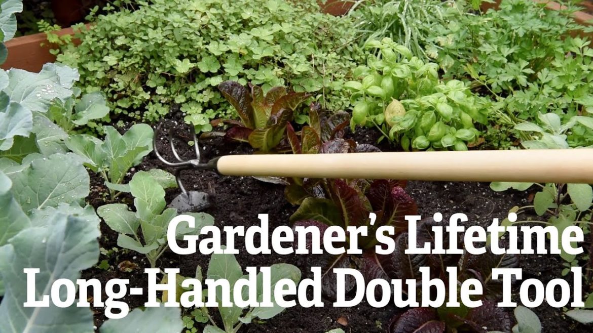 Gardener’s Lifetime Long-Handled Double Tool Gardener’s Lifetime Long-Handled Double Tool