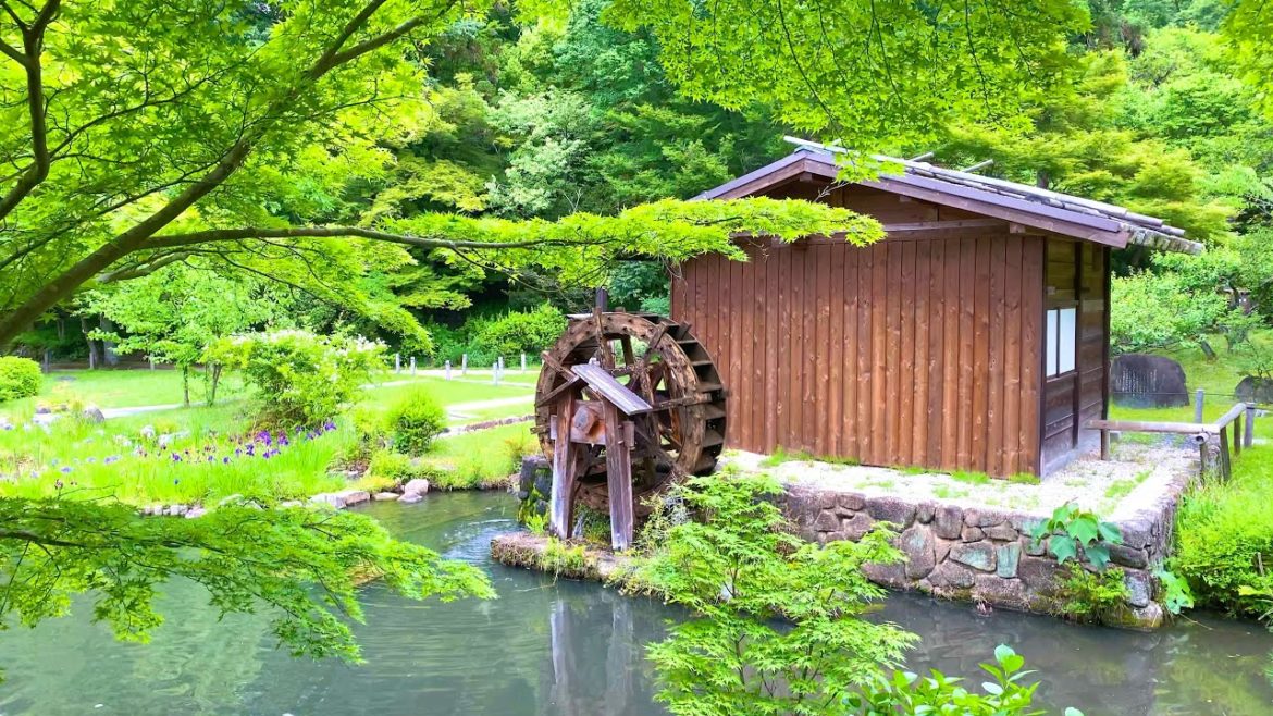 4K Japan Walk - Beautiful Japanese Garden | Botanical Gardens in Nagoya (東山動植物園)