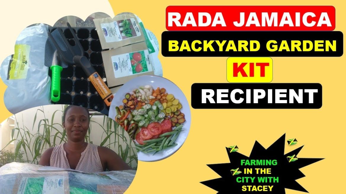 Rada Jamaica Backyard Garden Kit Recipient (Farming In The City With Stacey) Rada Jamaica Backyard Garden Kit Recipient (Farming In The City With Stacey)