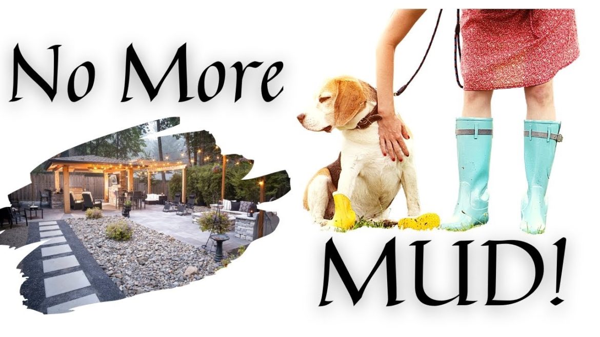 Dog Friendly Backyard (No MUDDY Paws)