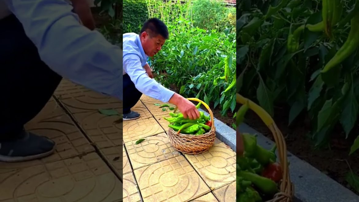 A very rich vegetable garden #shorts #gardener