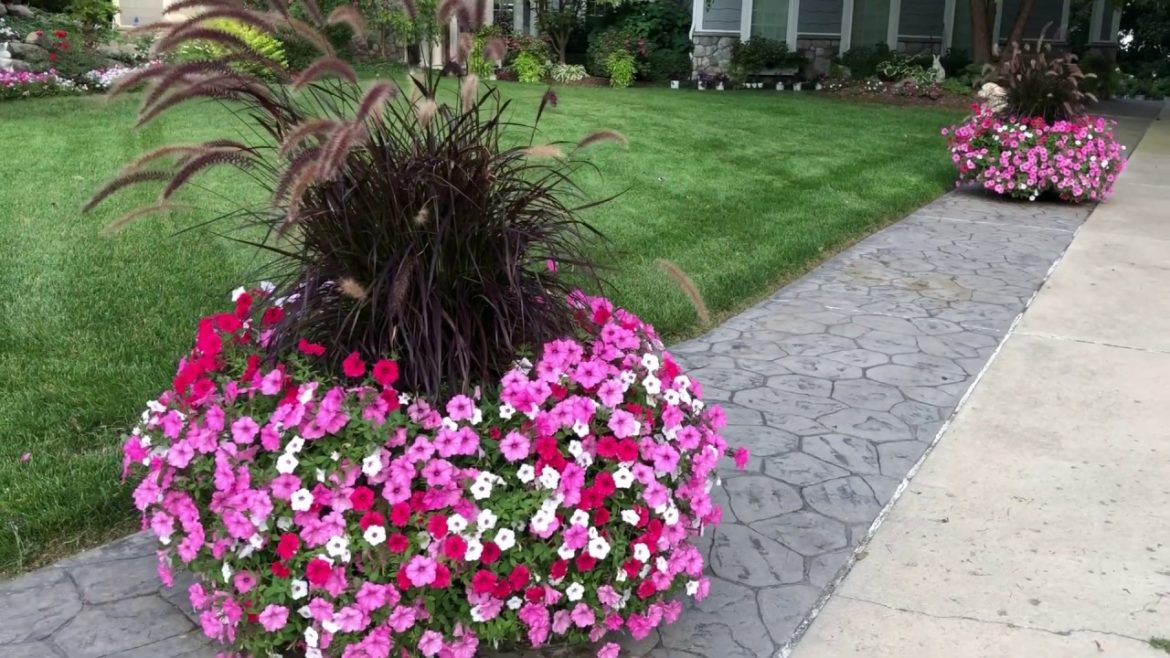 Front Yard Garden || Front Yard Garden Ideas || Side Garden || Side Garden Ideas 🌸🌸🌸