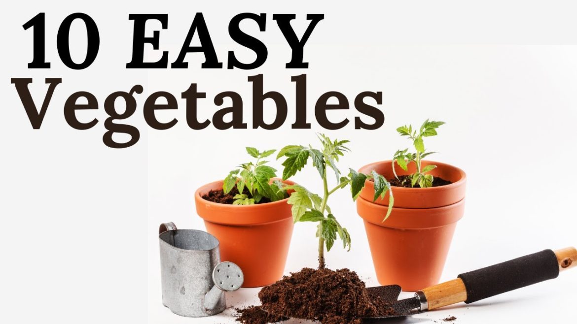10 SUPER EASY  Vegetables to grow at home in container garden