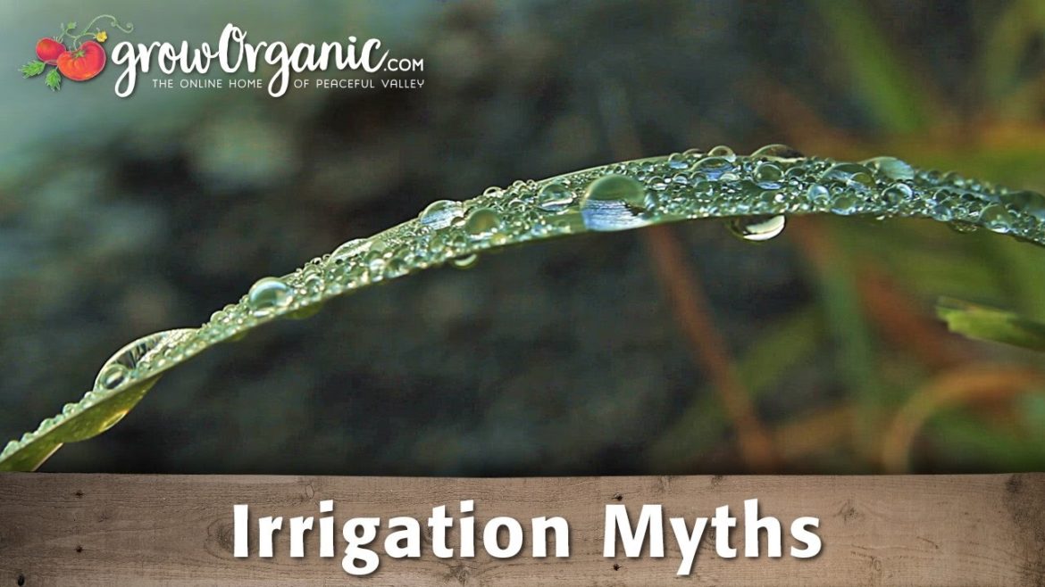 Organic Gardening Myths – Irrigation Organic Gardening Myths - Irrigation