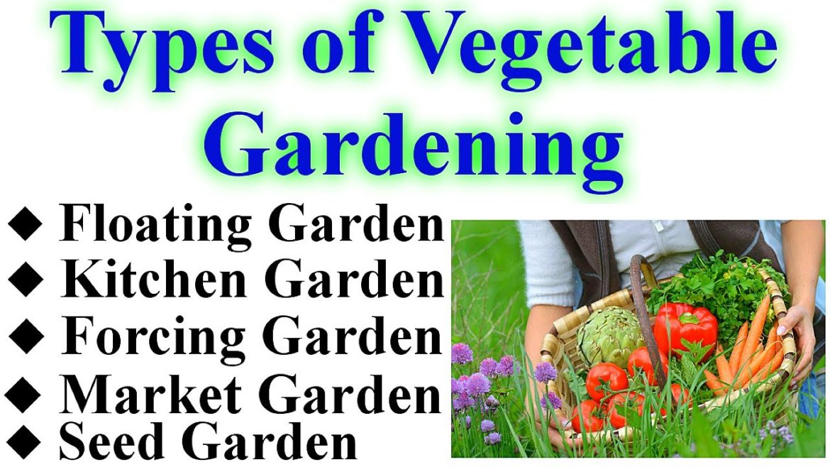 Important Horticulture Topic || Vegetable Gardening & their types || AFO || SO Horticulture