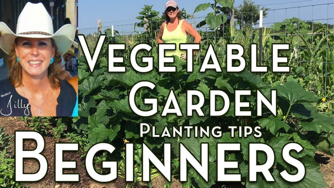 Planting a Vegetable Garden for Beginners - Tips for the First Time Vegetable Gardener